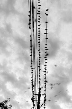 ��ͨ�˿˱���ҩˮ��Ƶ�����ڱ�����ҵ���أ������������ͱ��ڳ�����...